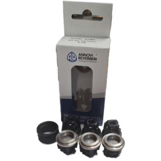 Valve Kit Annovi Reverberi